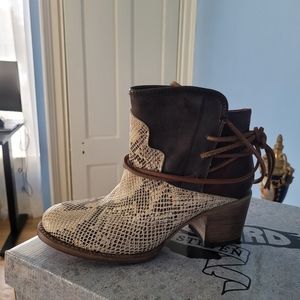 Freebird by Steven Boots